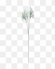 Baby Breath Flower Png Clip Free - Breath Flowers Transparent Background,Baby's Breath Png