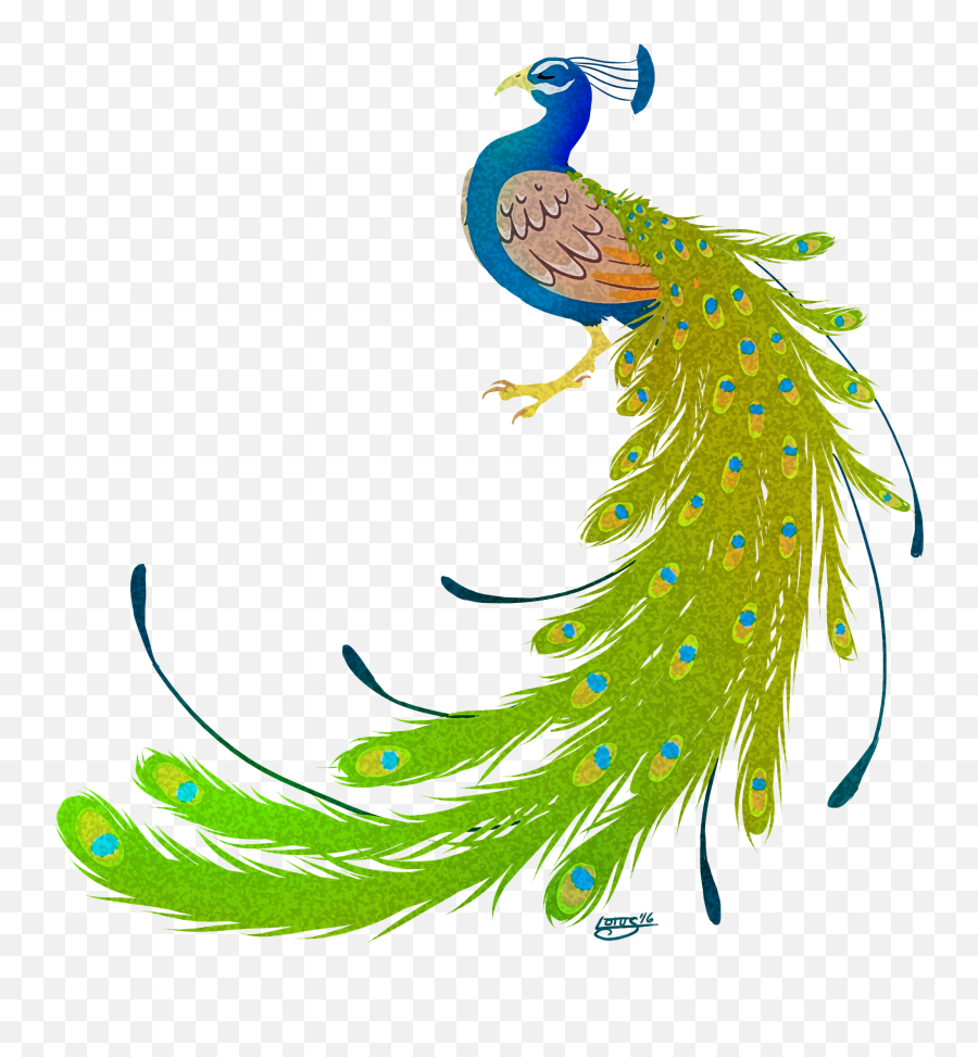Peacock Clipart - Peacock Transparent Png Hd,Peacock Png