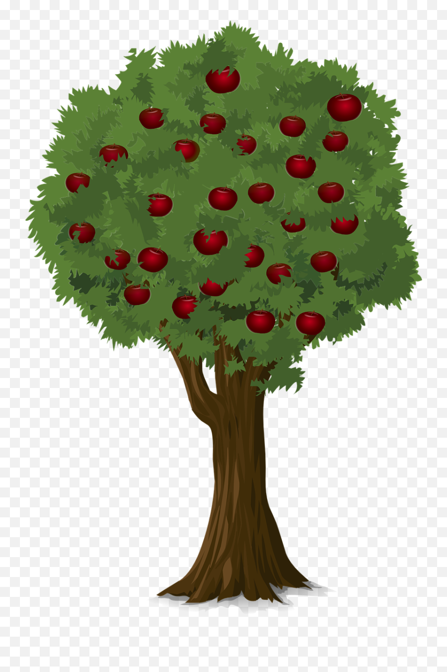 Tree Apple Nature Png Image - Can Guinea Pigs Eat Apple Tree Leaves,Apple Tree Png