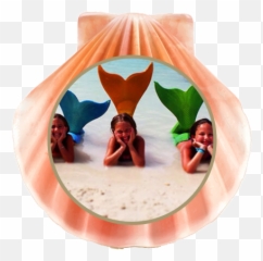 Mermaid Tails For Kids - The Synchronized Swimming png