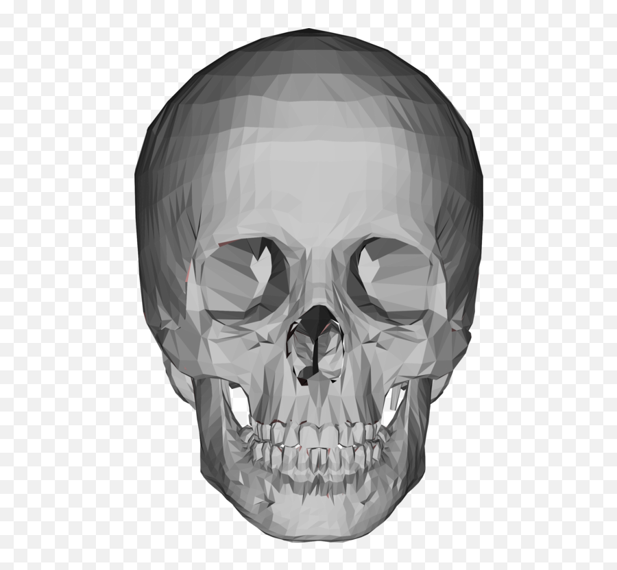 3d Skull Png U0026 Free Skullpng Transparent Images 67058 - 3d Model Skull Png,Skulls Png