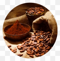 Cacao Png 2 Image - Cocoa Extraction,Cacao Png