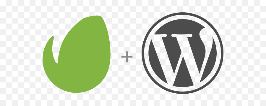 Envato Market Wordpress Plugin - Wordpress Icon Png,Wordpress Logo Transparent