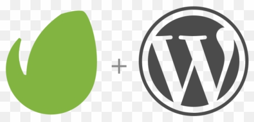 Envato Market Wordpress Plugin - Icon png