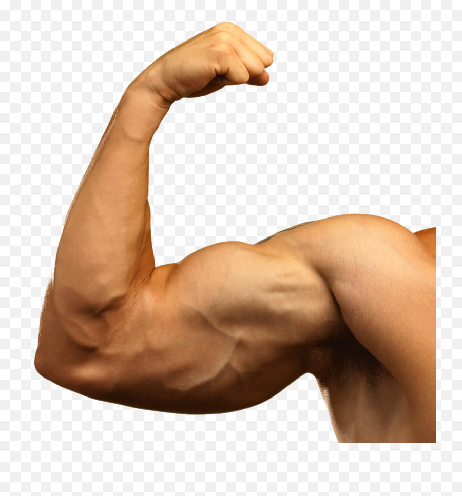 Muscle Png Image Body Builder