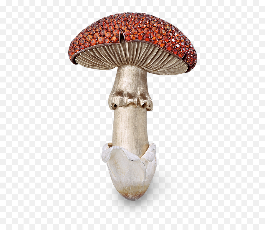 Mushrooms Hemmerle - Jewellery Png,Mushroom Transparent