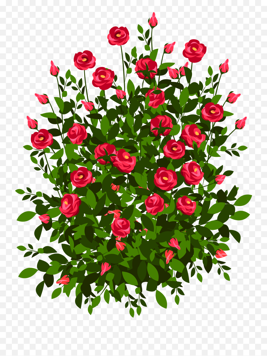 15 Flower Bush Clipart For Free Download - Draw A Rose Bush Png,Shrub Transparent Background