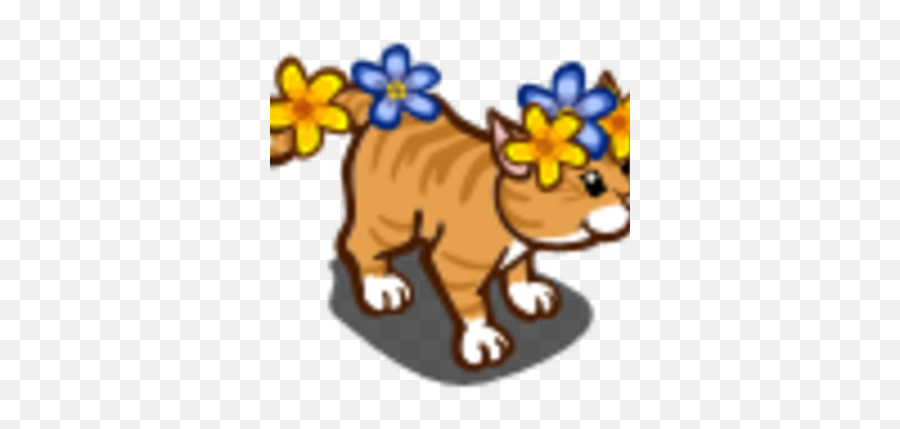 Aloha Cat Farmville Wiki Fandom - Farmville Orange Tabby Png,Aloha Png