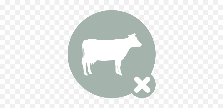 Download Hd Horse Icon X - Check Hook Transparent Png Image Plain White T Shirts,Hook Png