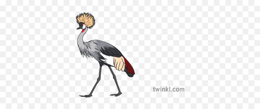 Grey Crowned Crane National Bird Of - Uganda Bird Png,Crane Bird Png