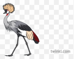 Grey Crowned Crane National Bird Of - Uganda Bird Png,Crane Bird Png