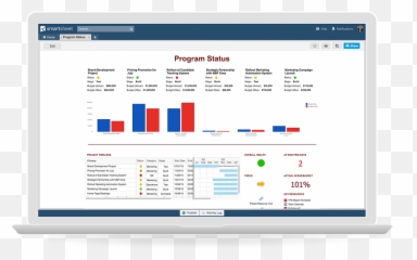 Everything You Need To Know About Executive Dashboards - Project Management Summary png