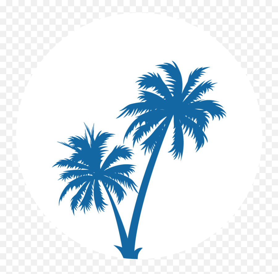 Explore More - Free Palm Tree Clip Art Transparent Cartoon Coconut Tree Vector Png,Palm Tree Clip Art Png