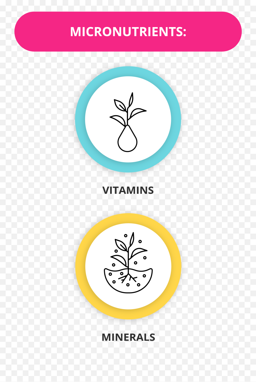 What Are Macronutrients And Micronutrients Getsmarter Blog - Essence Of Micro And Macronutrients Png,Minerals Icon