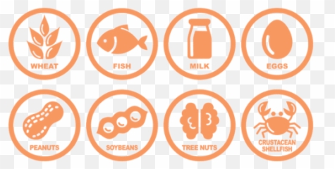 Food Allergies - The Gourmandise School Most Common In Australia png