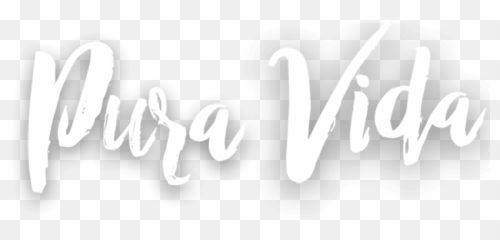 Yoga Retreat Costa Rica - Costa Rica Pura Vida Png,Costa Vida Logo
