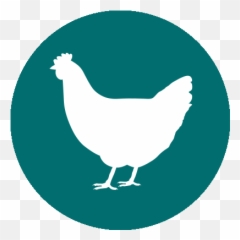 Uk Research And Innovation Ukri Global Challenges - Draw And Label The Different Poultry Cuts png