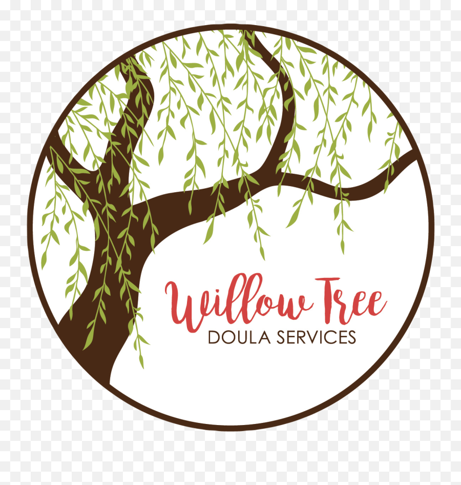 Birth Willow Tree Doula Services Indianapolis United States Png Icon