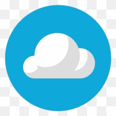 Services - Biz IT Solutions Ltd Language png