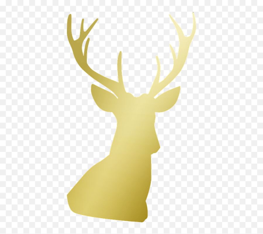 Download Hd Deer Antlers Gold Golden - Gold Deer Head Logo Png,Deer Head Png