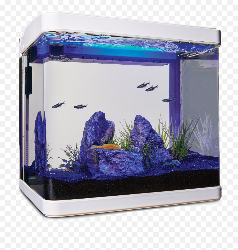 Aquarium Fish Tank Png Clipart - Imagitarium 5 Gallon Tank,Tank Png