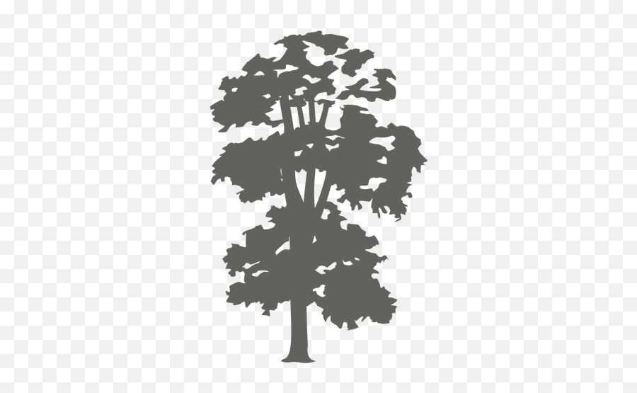 Tree Silhouette 3 - Transparent Png U0026 Svg Vector File Swamp Maple,Arbol Png