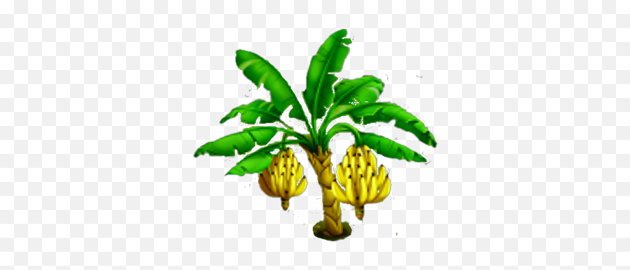 Banana Tree - Banana Tree With Fruit Logo Png,Banana Leaf Png
