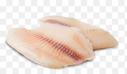 Ha Li Fa - Dory Ha Li Fa Pte Ltd Usa Fish Slice Png,Dory Png