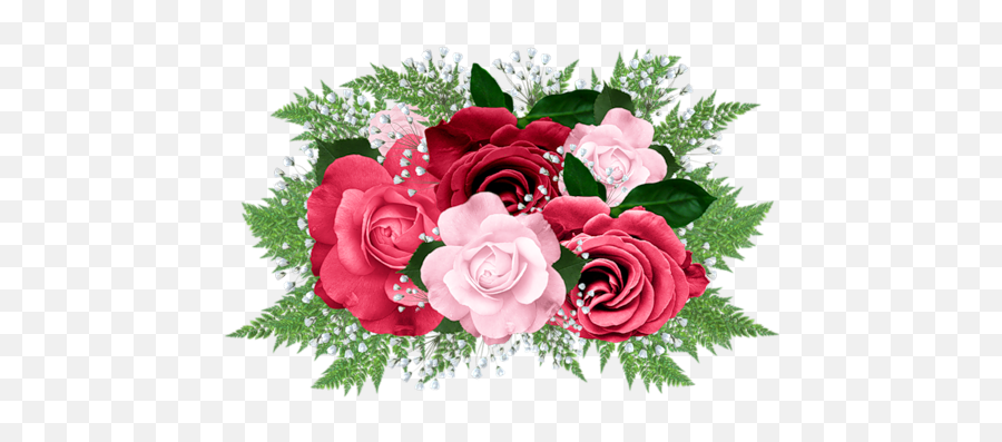 Roses Clipart Images - Frame With Flower In Png,Pink Roses Png