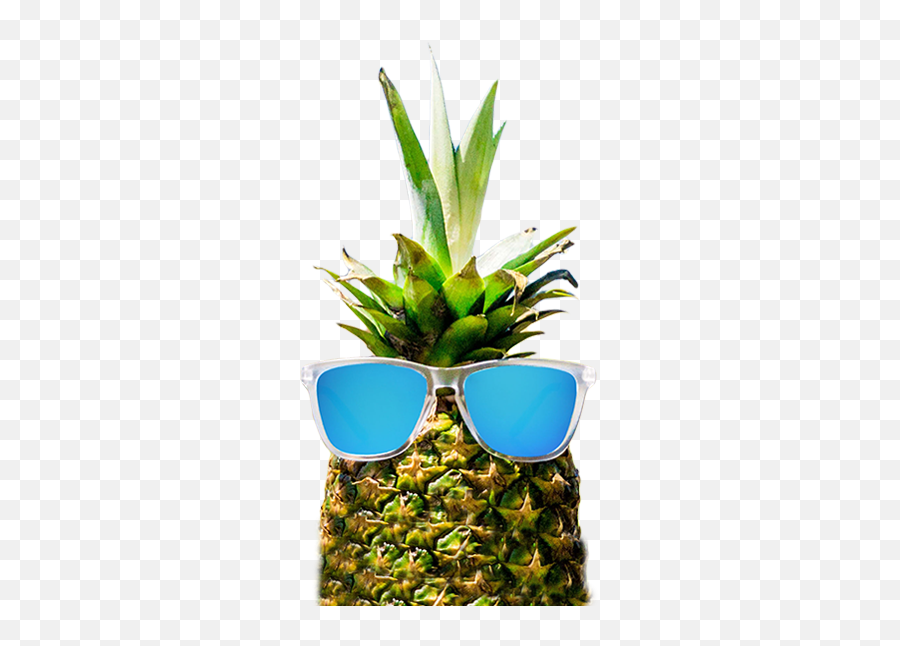 Download Classic Sunglasses Round - Real Pineapple With Sunglasses Png,Round Sunglasses Png