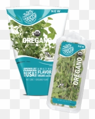 Oregano - Grape Png,Oregano Png