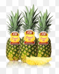 Su0026w Fresh Pineapples - Sweet 16 Extra Sweet Fresh Pineapples Pineapple Png,Sweet 16 Png