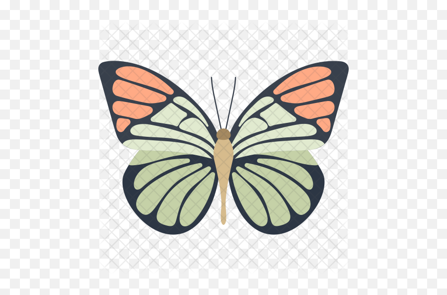 Monarch Butterfly Icon Of Colored - Lovely Png,Monarch Png