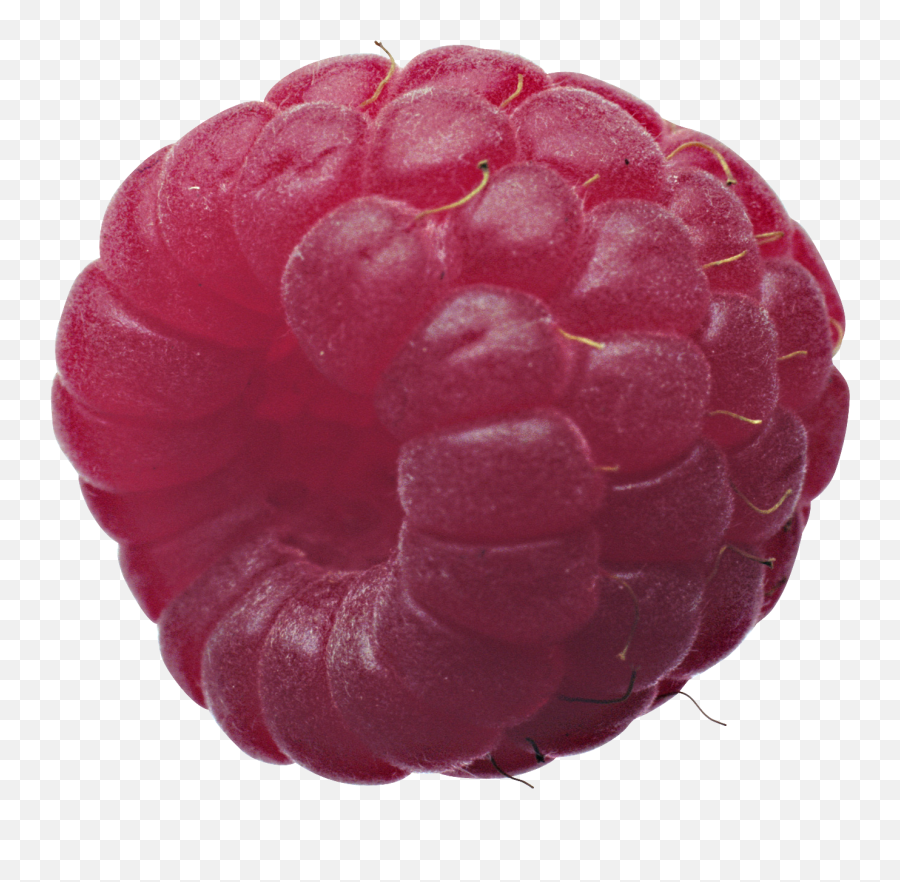 Raspberry Png Image For Free Download - Framboise,Raspberry Png