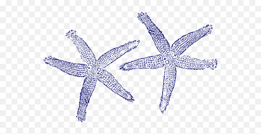 Download Navy Blue Twin Starfish Clip Art - Navy Navy Starfish Clipart Png,Starfish Clipart Transparent Background