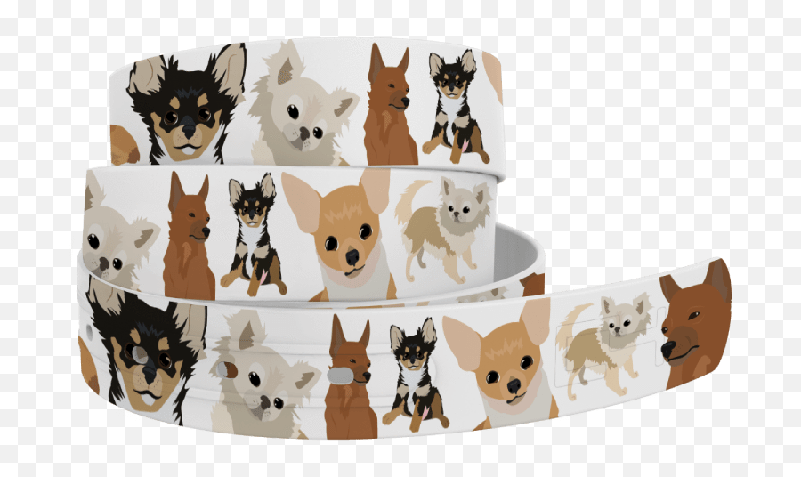 Chihuahua Belt C4 - Soft Png,Chihuahua Png