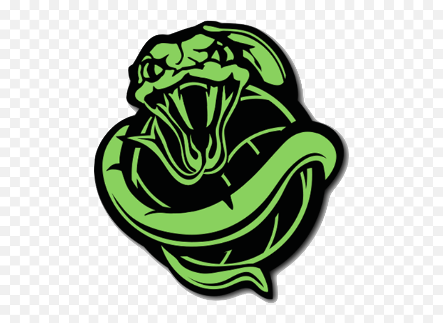 14u Python Spikers U2013 Queen Creek Volleyball - Green Python Logo Png,Python Logo Transparent