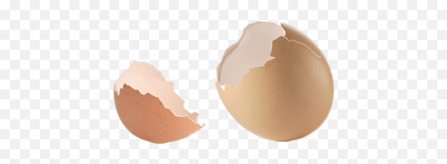 Pieces Of Eggshell Transparent Png - Stickpng Egg Shells Transparent Background,Peach Transparent Background