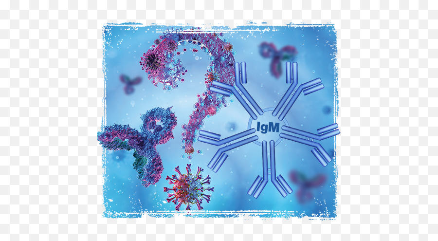 Igm Antibody Testing Against Covid - 19 Ayass Bioscience Llc Vai Acabar A Pandemia Png,Antibody Png