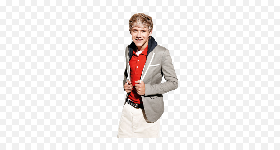 Niall Horan Of One Direction Psd - One Direction Png,Niall Icon