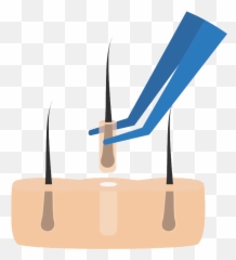 Home - Germany Medical Vertical Png,Zmdi Icon