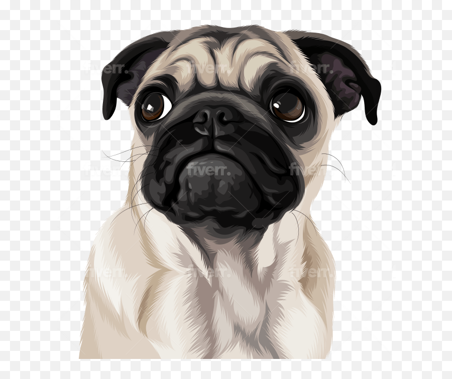 Draw High Quality Vector For Your Pet Or Any Animals - Pug Png,Dog Icon Vector