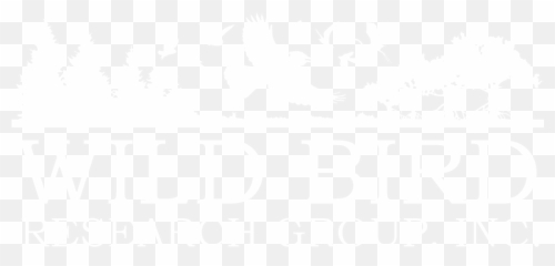 About - Language png