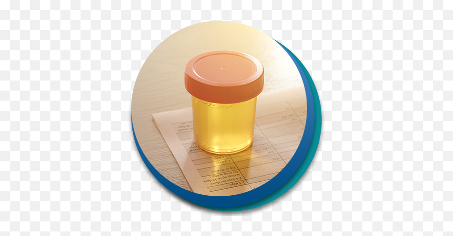 Peace Of Mind Drug Testing Services - Same Day Drug Testing Lid Png,Drug Test Icon