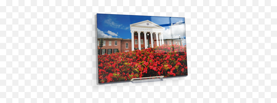 Ole Miss Rebels - Lyceum Circle Historic District Png,How To Add More Icon Colums On Samsung