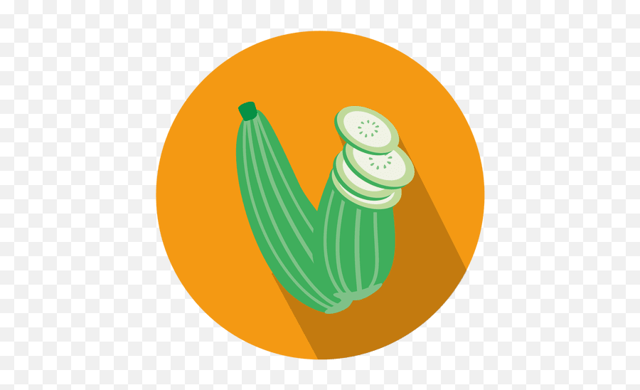 Zucchini Vector U0026 Templates Ai Png Svg - Drawing,Circle Icon Template