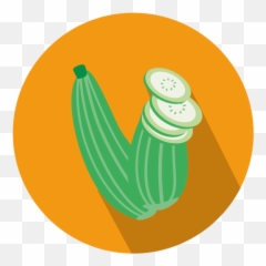 Zucchini Vector U0026 Templates Ai Png Svg - Drawing