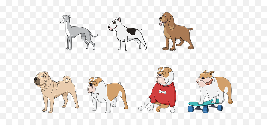200 Free Greyhound U0026 Dog Images - Pixabay Lány Kutyanevek Png,Doge Transparent Background