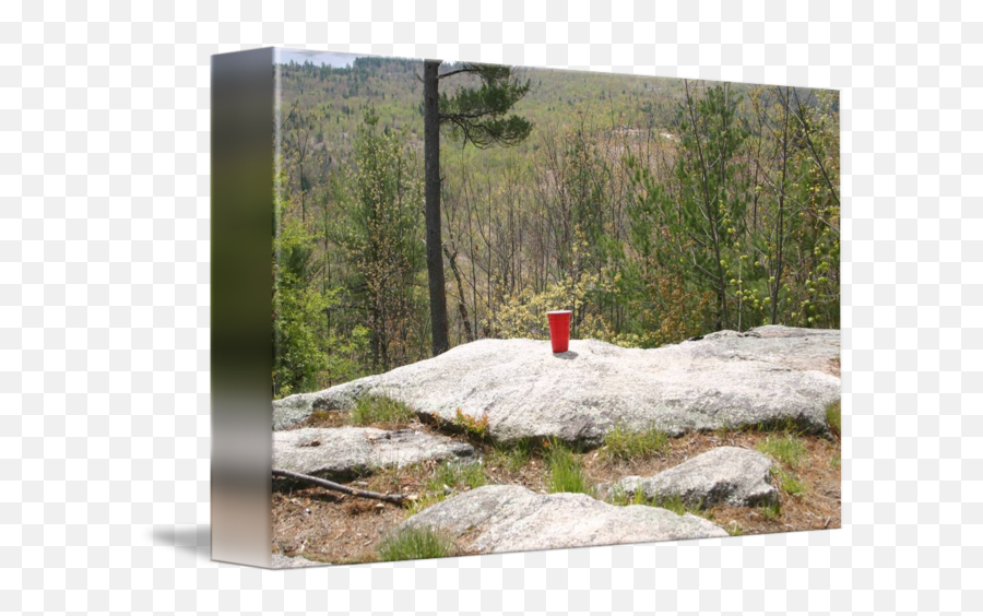 Red Solo Cup By Bill Tripp - Grass Png,Red Solo Cup Png