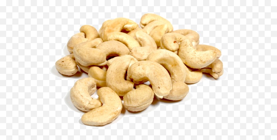 Bulk Organic Large Raw Cashew Pieces - Cashew Png,Cashew Png